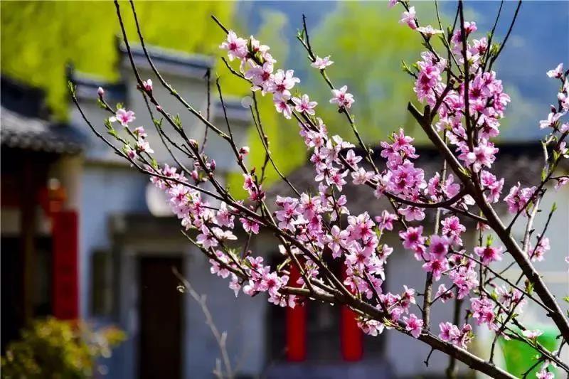 ���μ��š�ag8(�й�)����-ֻ���ͬ����