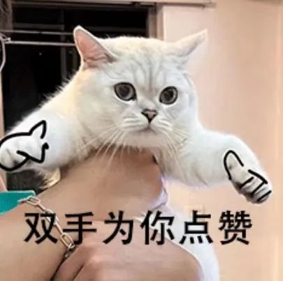 202412316522395 亚游集团·ag8(中国)官网-只為非同凡享