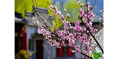 �������������μ���ag8����һ��չ�ἴ����Ϯ�����ﱸ��������